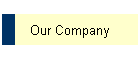 Our Company