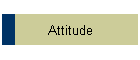 Attitude