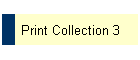 Print Collection 3