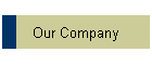 Our Company